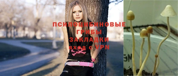 spice Зеленокумск