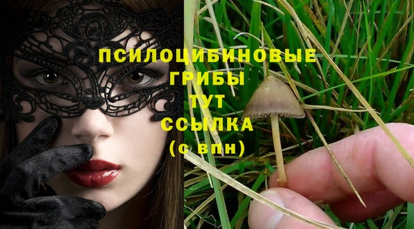 spice Зеленокумск
