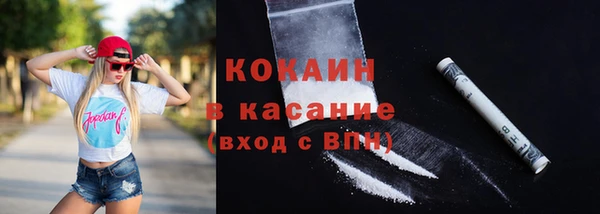 прущие грибы Инсар