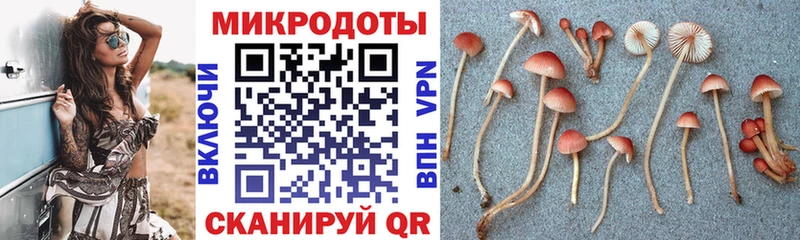 дарнет шоп  Рубцовск  нарко площадка официальный сайт  Псилоцибиновые грибы MAGIC MUSHROOMS 